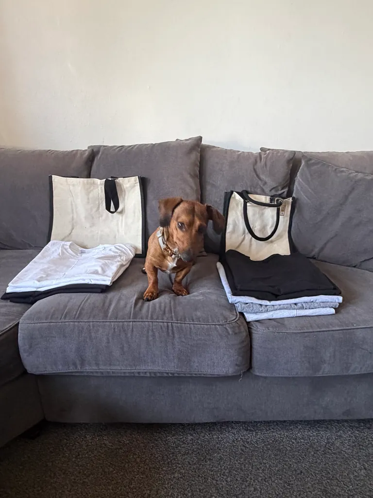 Clear original photograph of Ron the dachshund showing his face and ears